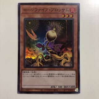 遊戯王 ローンファイア・ブロッサム　スーパー