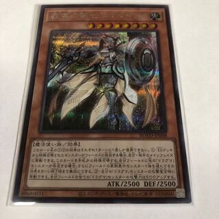 教導の騎士フルルドリス シークレットレア