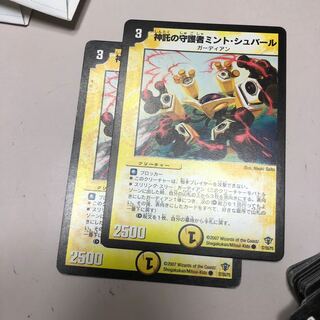 神託の守護者ミント・シュバール