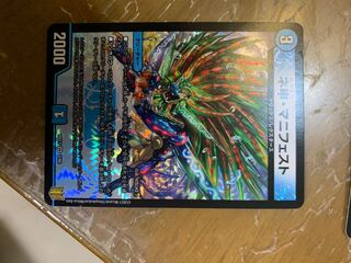 ネ申・マニフェスト VR