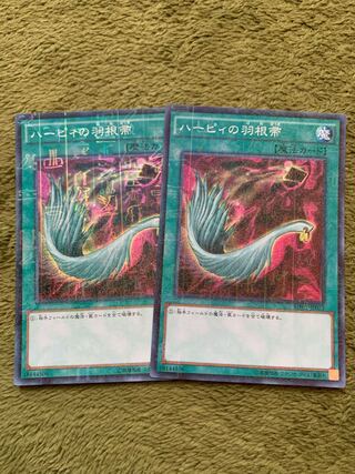 ハーピィの羽根帚 ミレニアム2枚