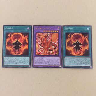 烙印竜アルビオン、白の烙印