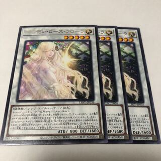 Dedicated.Garden Rose Flora 4 rare.