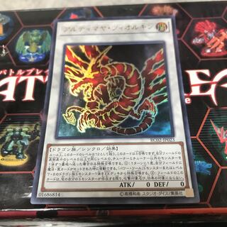 アルティマヤ・ツィオルキン ウルトラレア