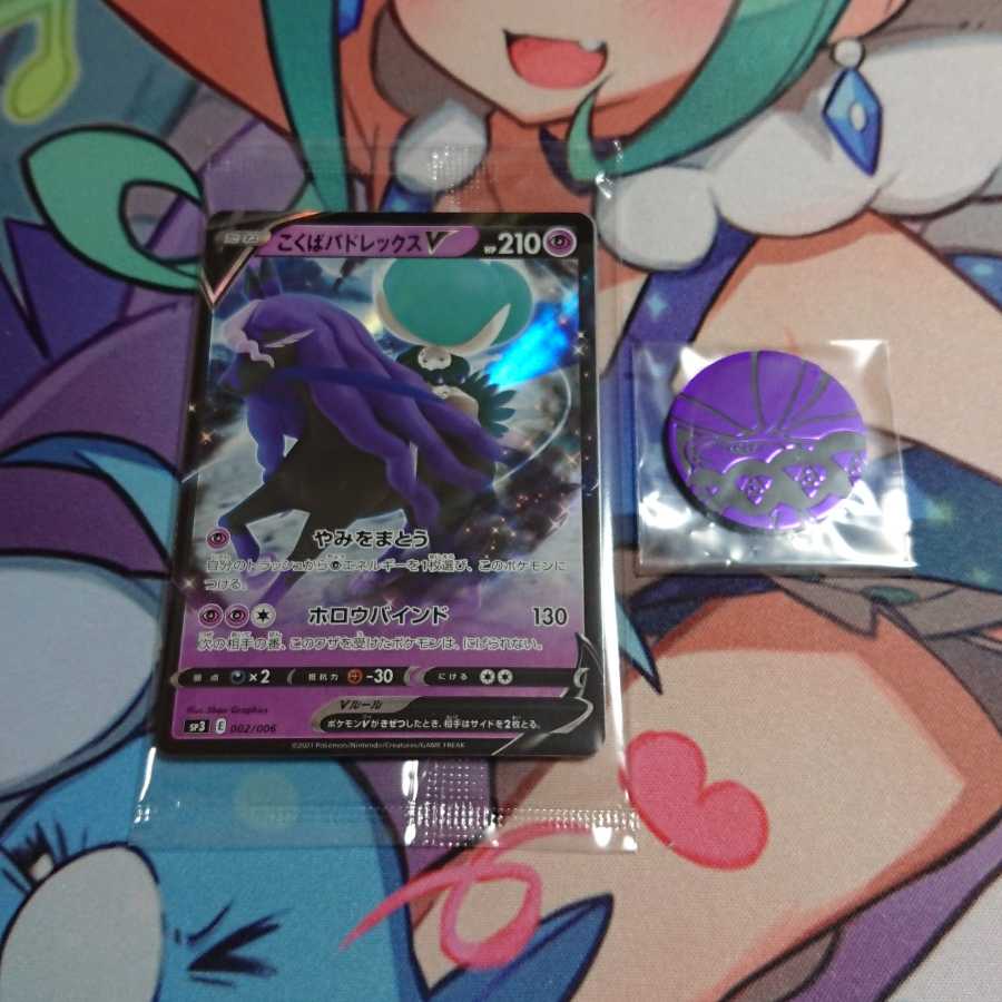 こくばバドレックスV 未開封