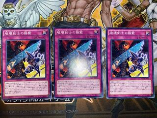 破壊剣士の揺籃