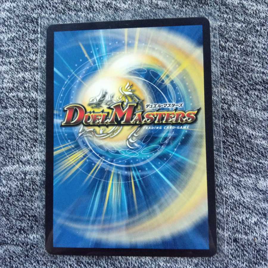 ポクチンちん(20thSPレア仕様)