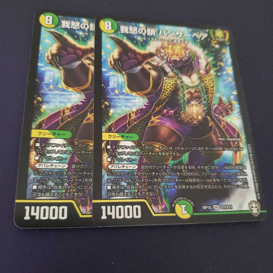 Chains of My Anger Panther Bear