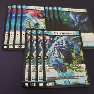 T・アナーゴ マリンフラワー アストラルリーフ