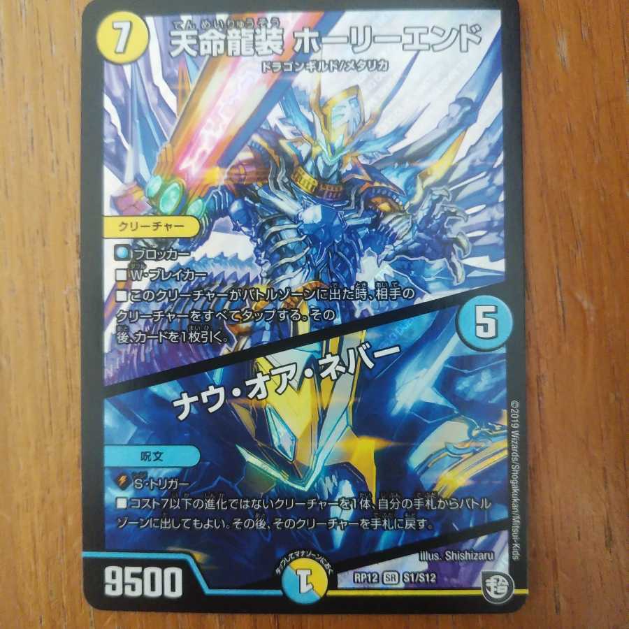 天命龍装 ホーリーエンド/ナウ・オア・ネバー