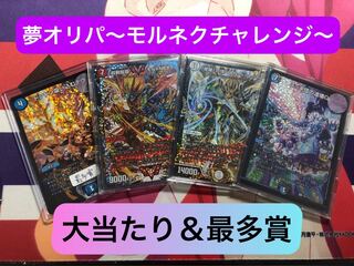 ハイネリィランラ様専用出品 8口 1枚