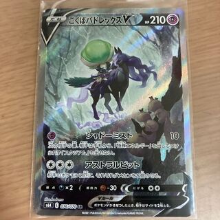 こくばバドレックスV sa