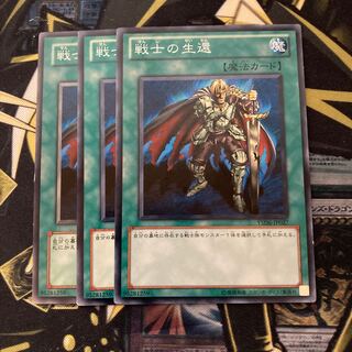 マドレース2080戦士の生還 ノーマル