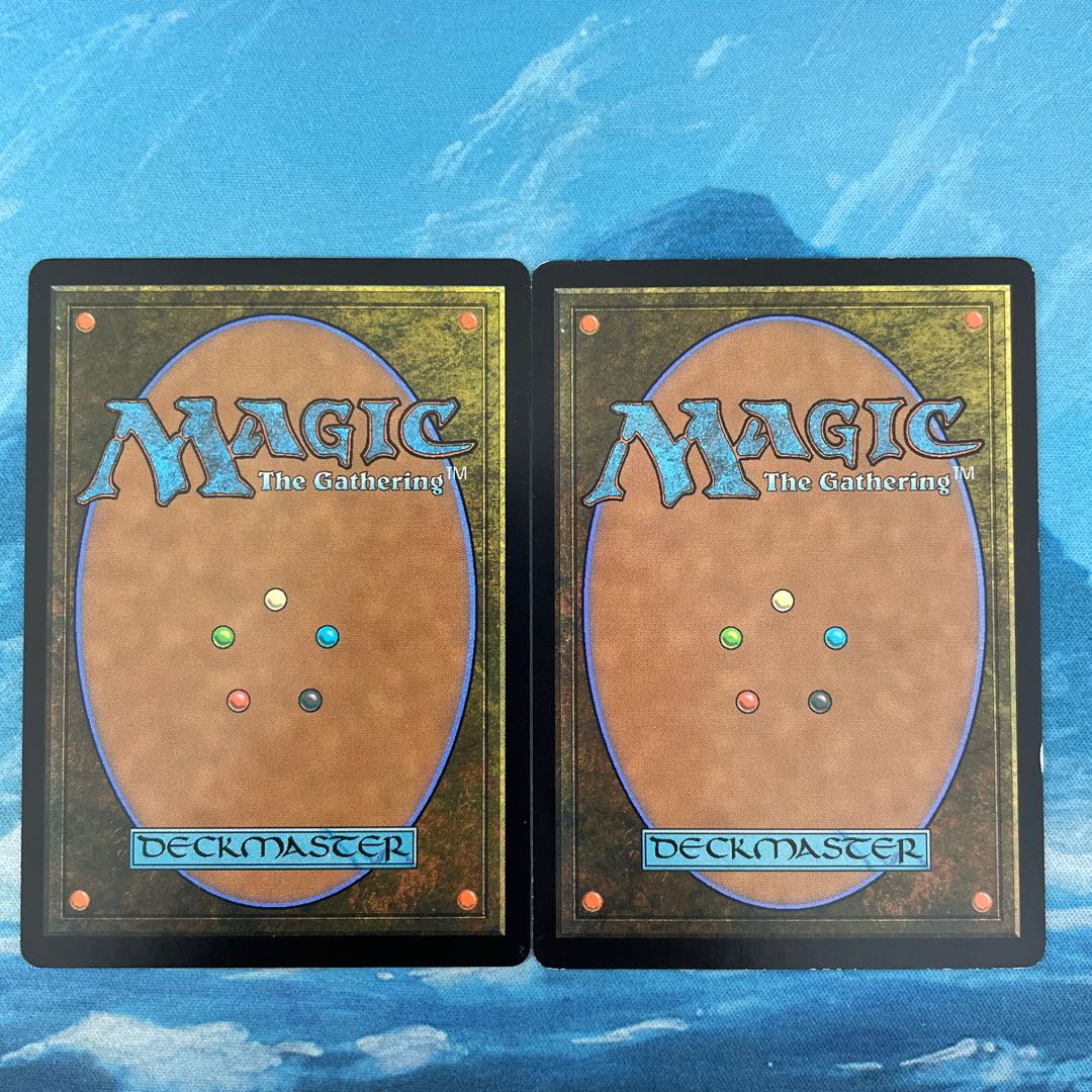 MTG 2枚 蛇皮のヴェール 2枚