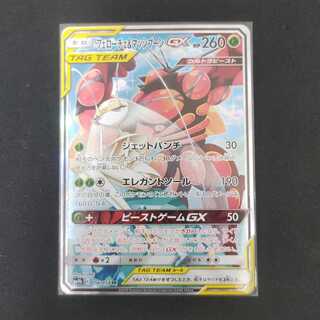 フェローチェ＆マッシブーンGX SA