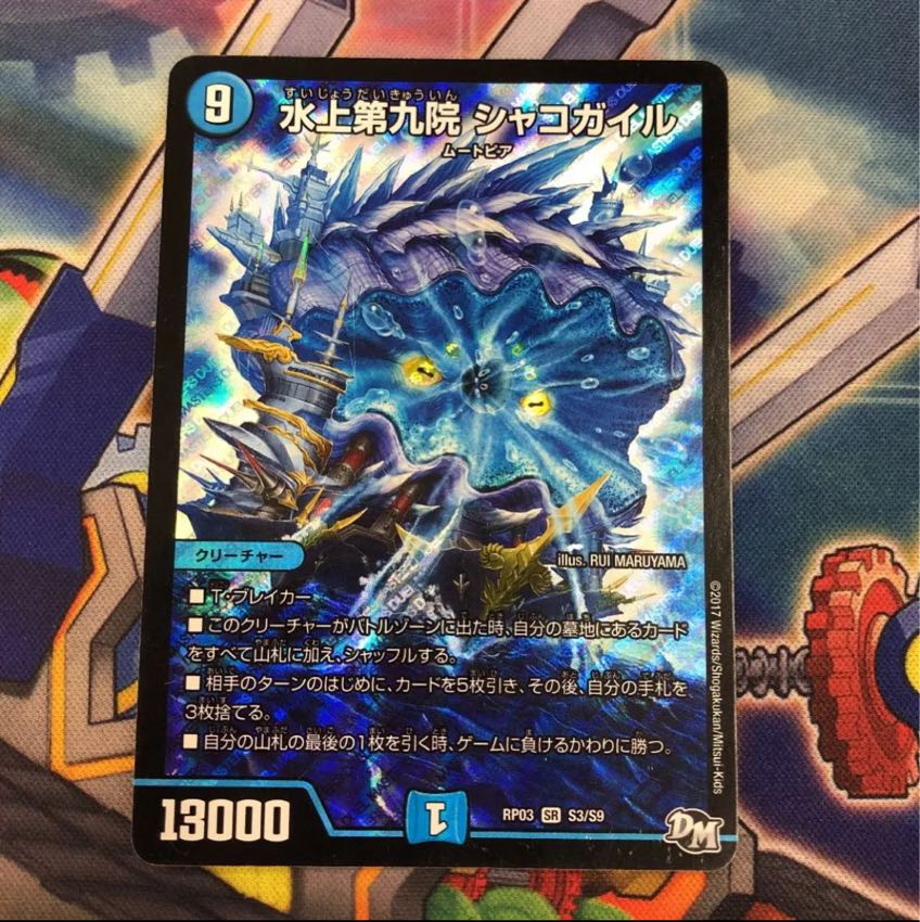 最安値 シャコガイル 1枚