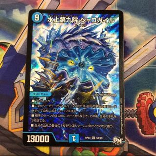 最安値 シャコガイル 1枚