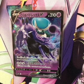 こくばバドレックスV RR