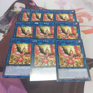 韓国　トロイメア・フェニックス レア