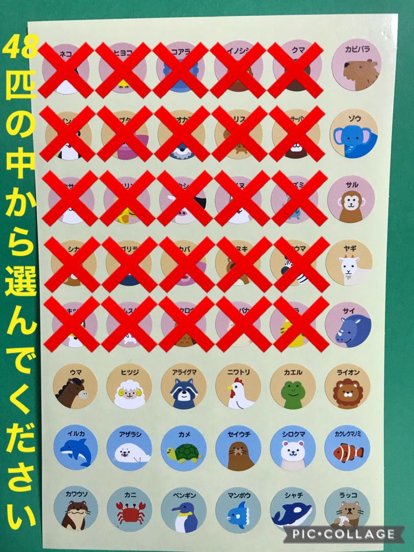 (25口)ダイヤ様専用