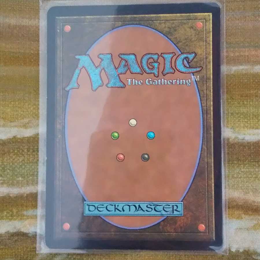 絵描きの召使い 英 在庫3