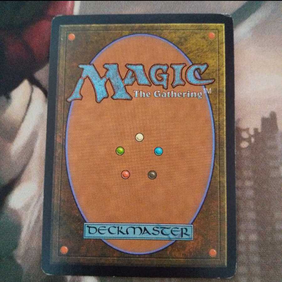 絵描きの召使い 英 在庫3