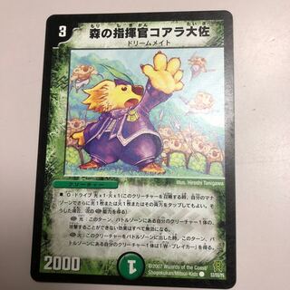 森の指揮官コアラ大佐