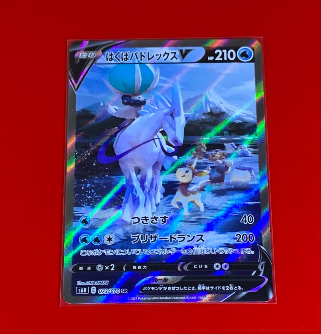 はくばバドレックスV  SR  スペシャルアート