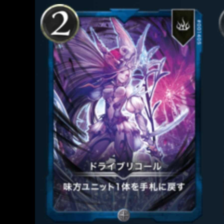 (二枚セット)ドラリコ