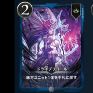 (二枚セット)ドラリコ