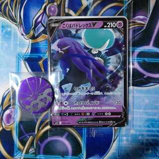 こくばバドレックスV プロモ