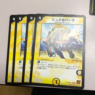 ピュアカパーラ