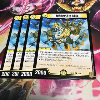 The Forceful Checkpoint's Protection Terra