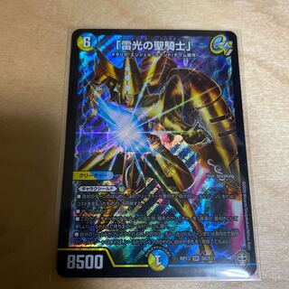 「雷光の聖騎士」