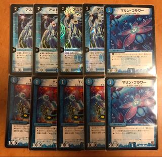 アストラルリーフ Tアナーゴ マリンフラワー