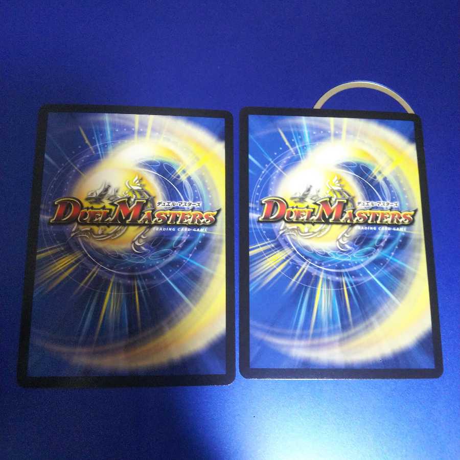 闘争類拳嘩目 ステゴロ・カイザー|お清めシャラップ 2枚