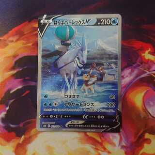 はくばバドレックスV sr sa