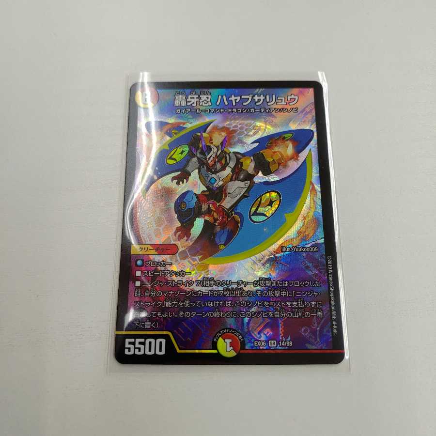 ハヤブサリュウ