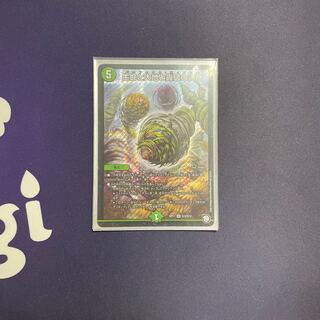 生命と大地と轟破の決断