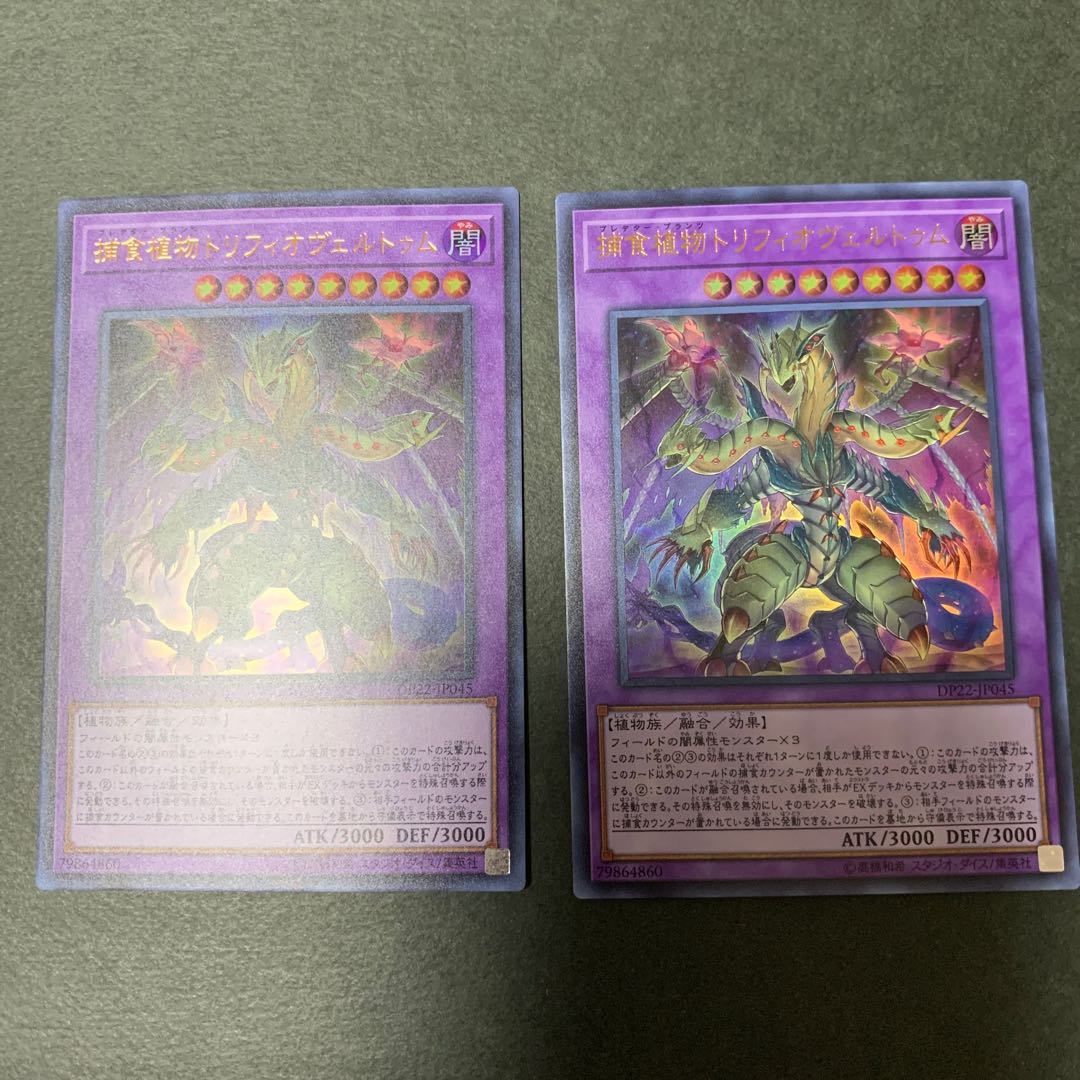 捕食植物トリフィオヴェルトゥム ウルトラレア　2枚セット