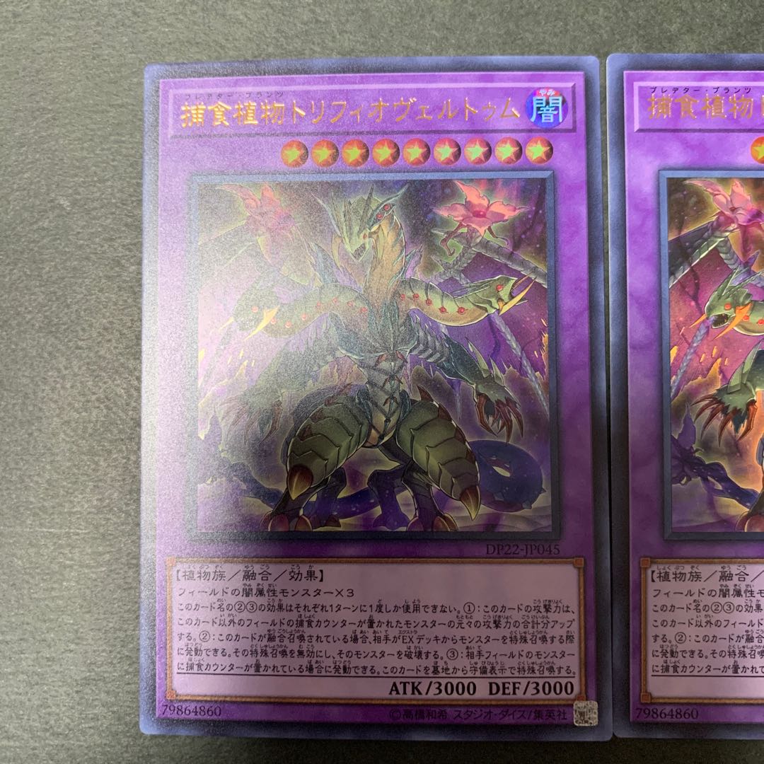 捕食植物トリフィオヴェルトゥム ウルトラレア　2枚セット