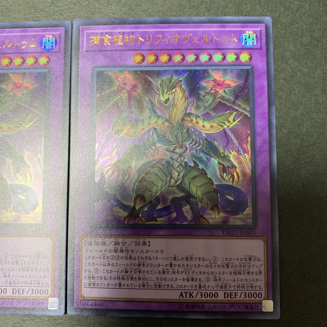 捕食植物トリフィオヴェルトゥム ウルトラレア　2枚セット