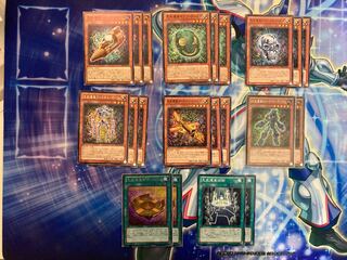 先史遺産(オーパーツ) デッキパーツ