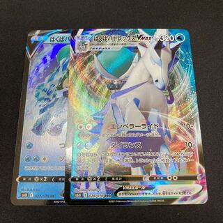 はくばバドレックスV VMAX セット