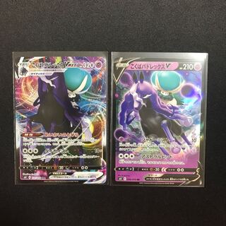 専用出品　こくばバドレックスVMAX×2