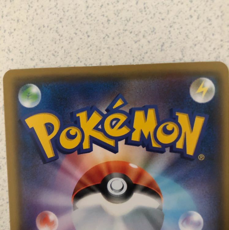 トキワの森 3枚セット