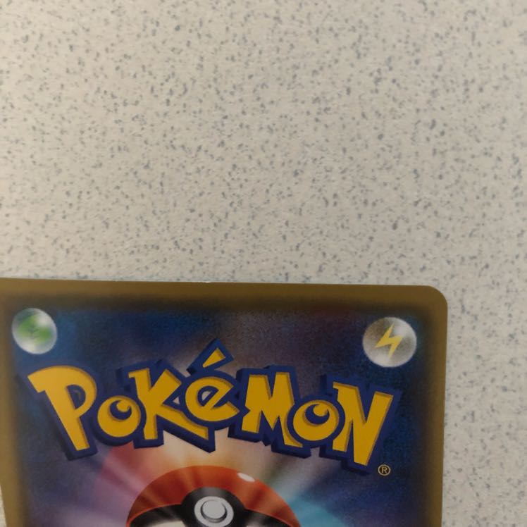 トキワの森 3枚セット