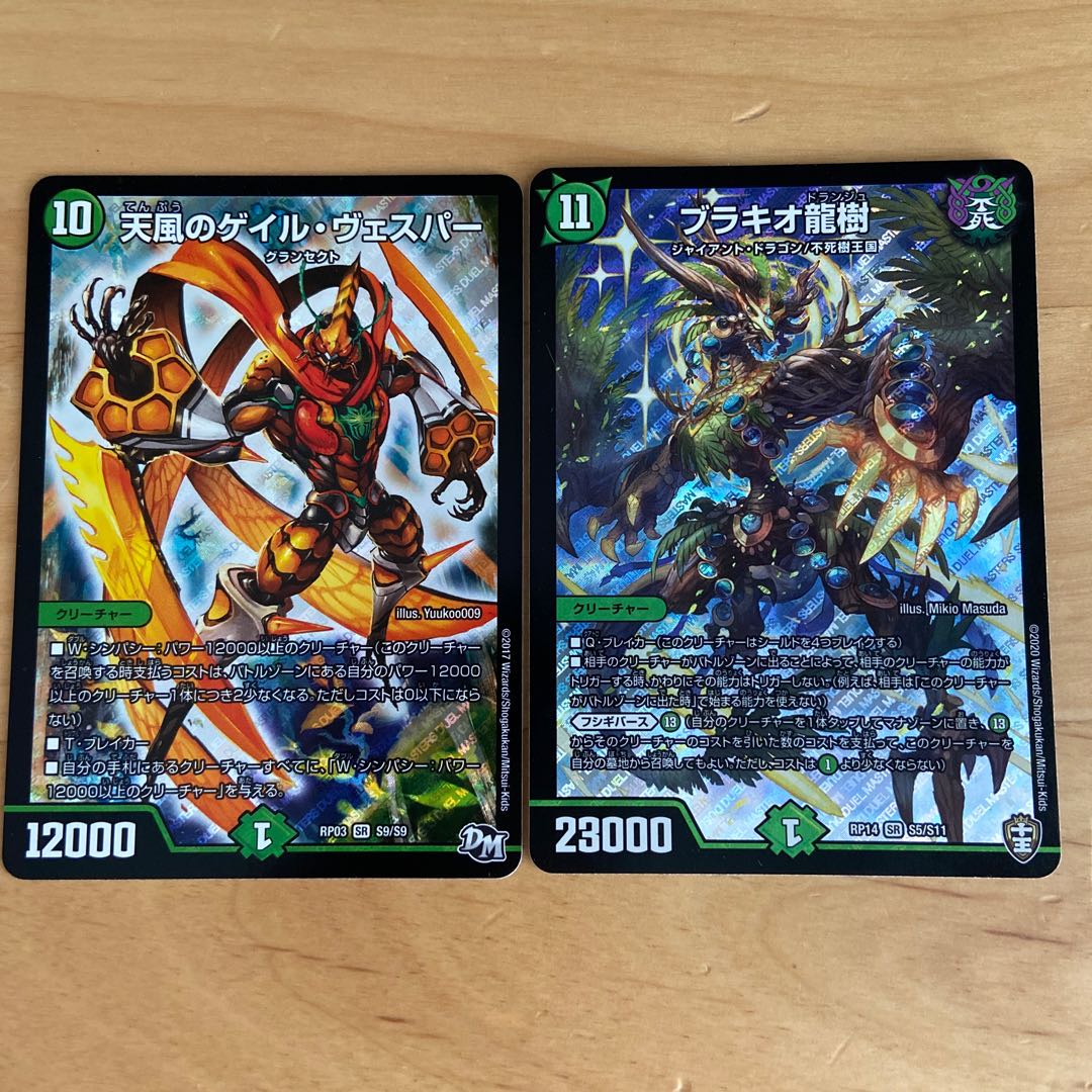 ブラキオ龍樹 &天風のゲイル・ヴェスパー