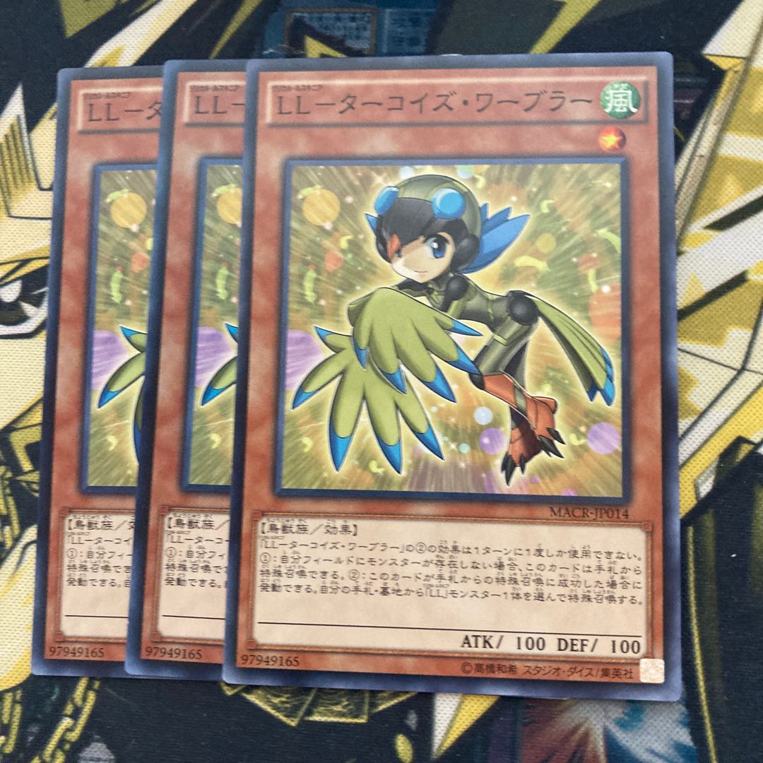 マドレース2195LL-ターコイズ・ワーブラー ノーマル