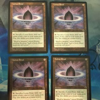 水蓮の花びら 4枚セット 英